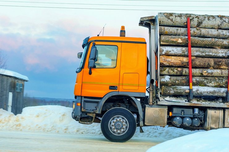 «как получить бесплатный лес»
