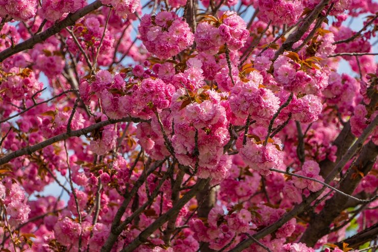 «куда поехать на майские»