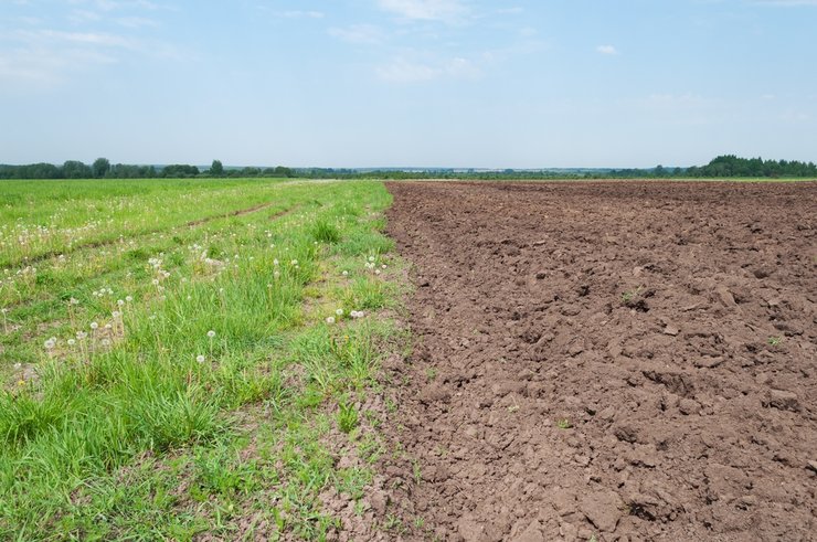 «аренда земли у государства»