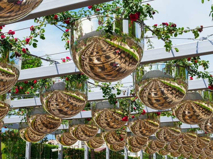 «парк галицкого весной»