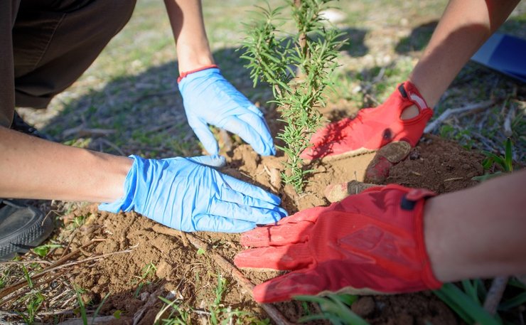 «подготовка инвентаря и организация субботника»