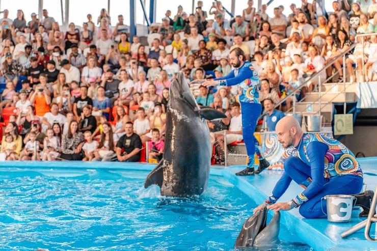 «Сочи в мае»