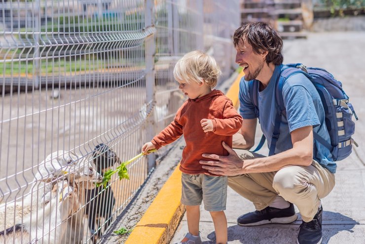 «туризм с детьми»
