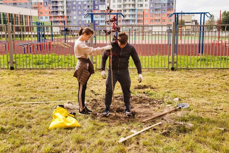 «подготовка инвентаря и организация субботника»