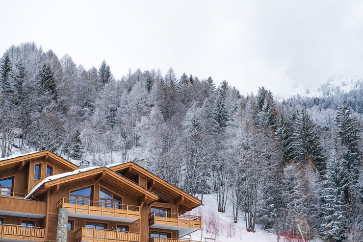 «дом в стиле шале»