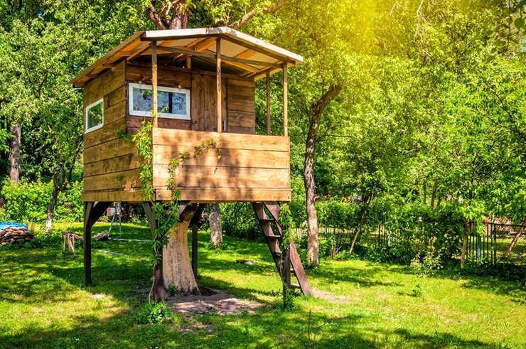 «как построить дом на дереве», «как сделать дом на дереве своими руками», «можно ли строить дом на дереве»